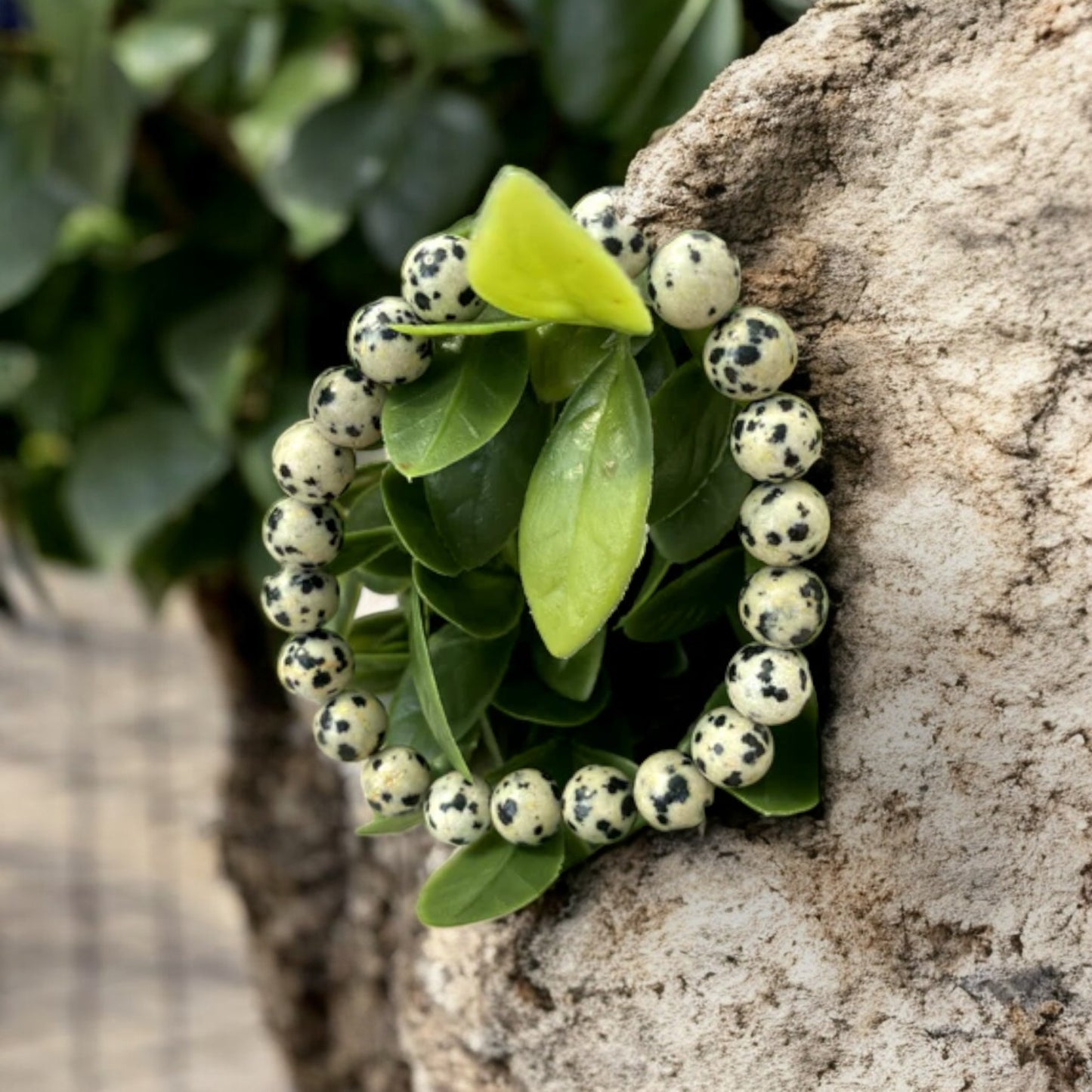 Dalmatian Jasper Bracelet