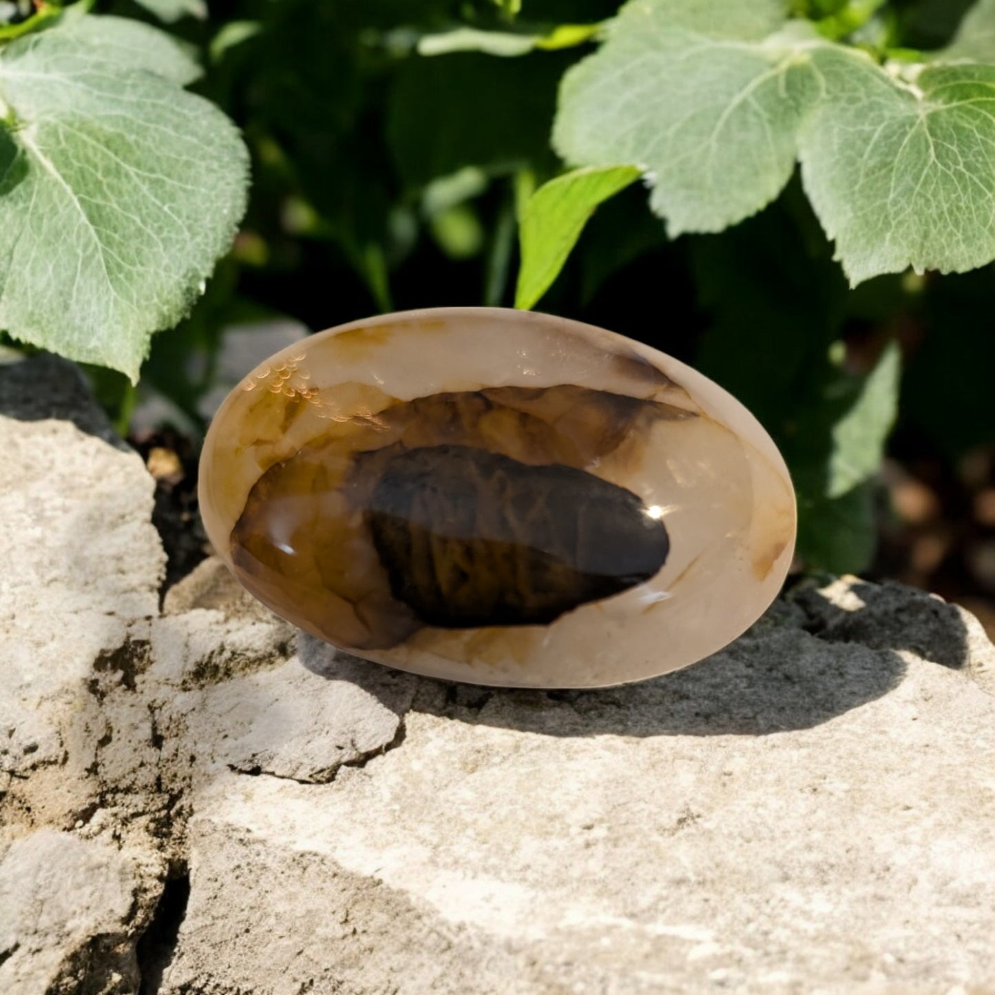 Golden Healer Palm Stone