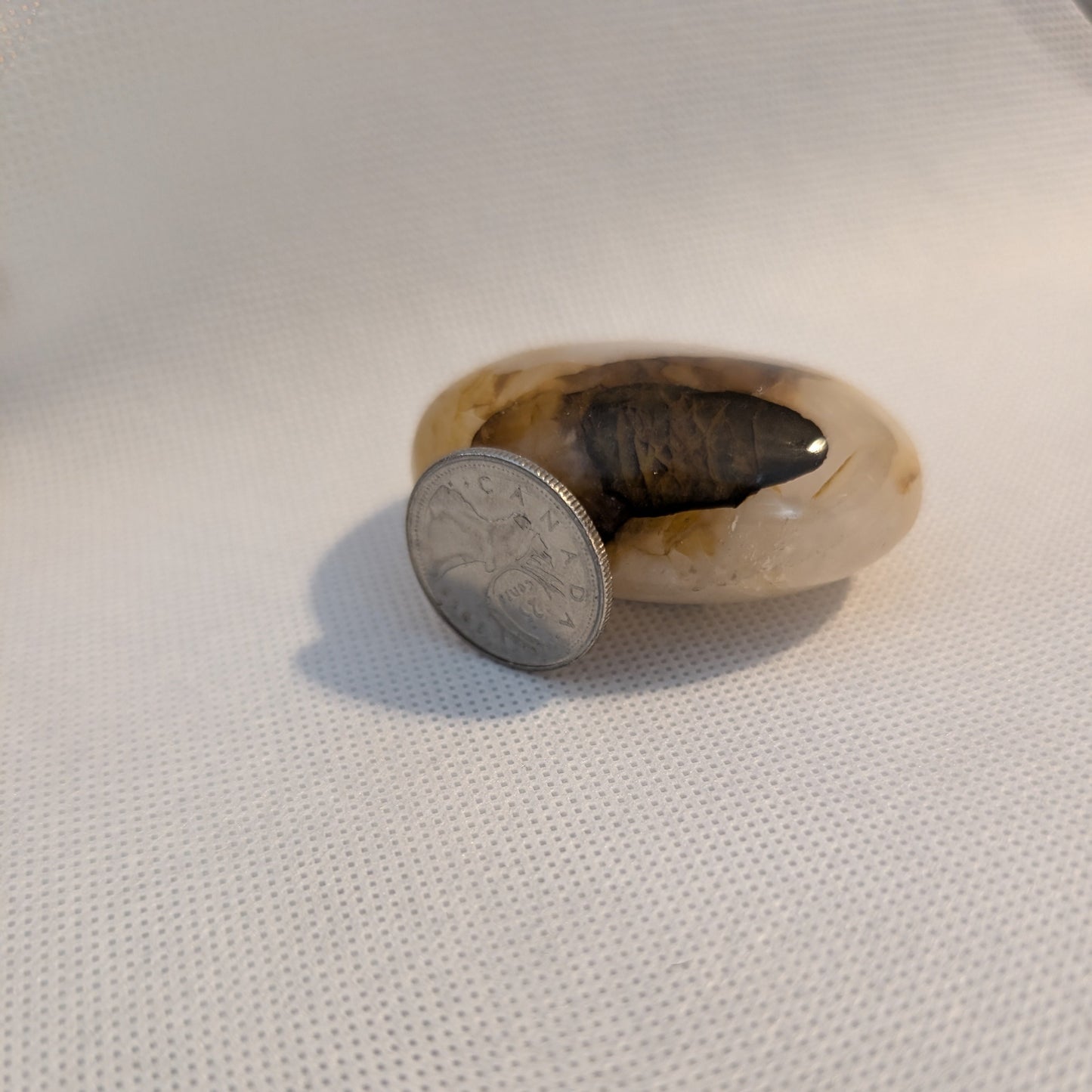 Golden Healer Palm Stone