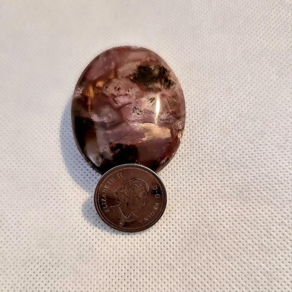 Petrified Wood Palm Stone