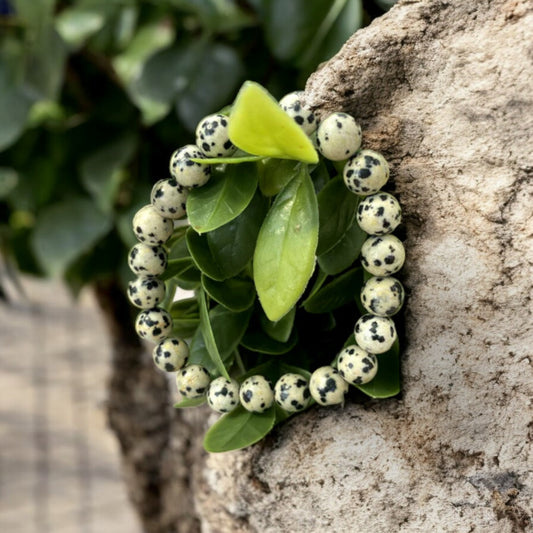 Dalmatian Jasper Bracelet