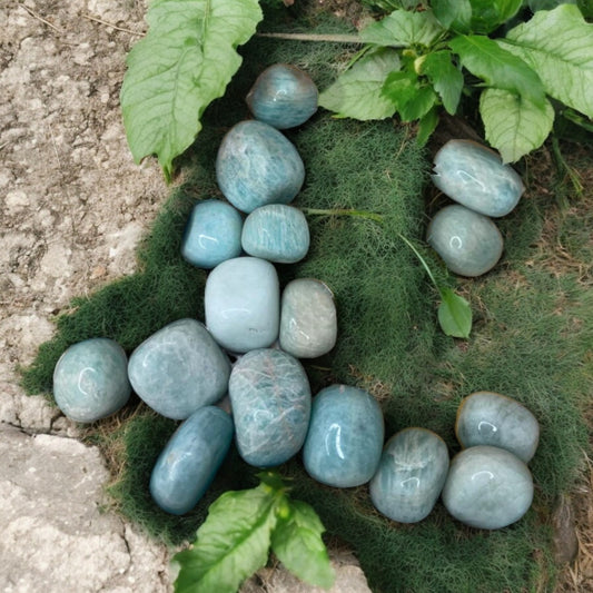 Amazonite Tumbles