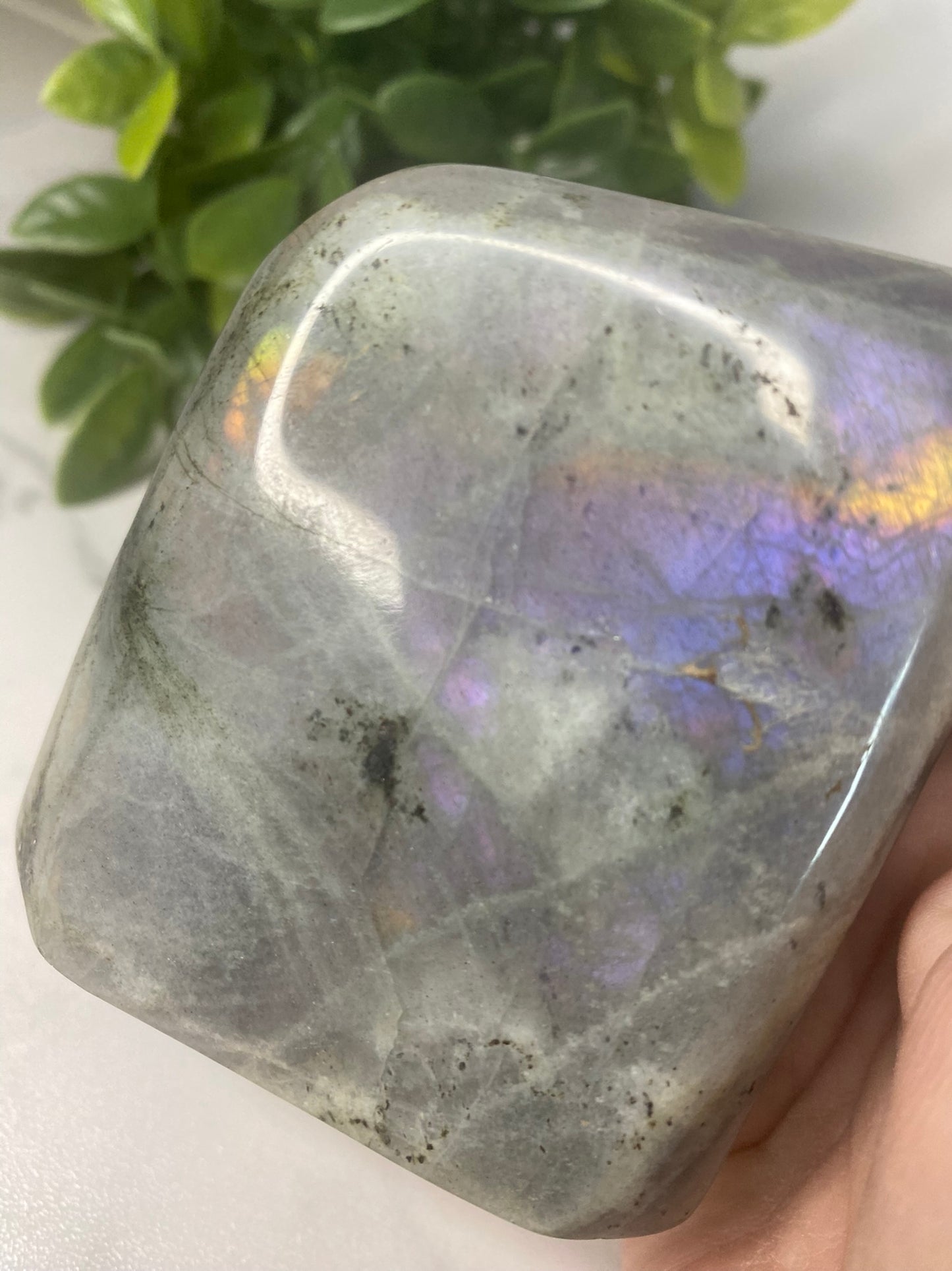 Labradorite Freeform