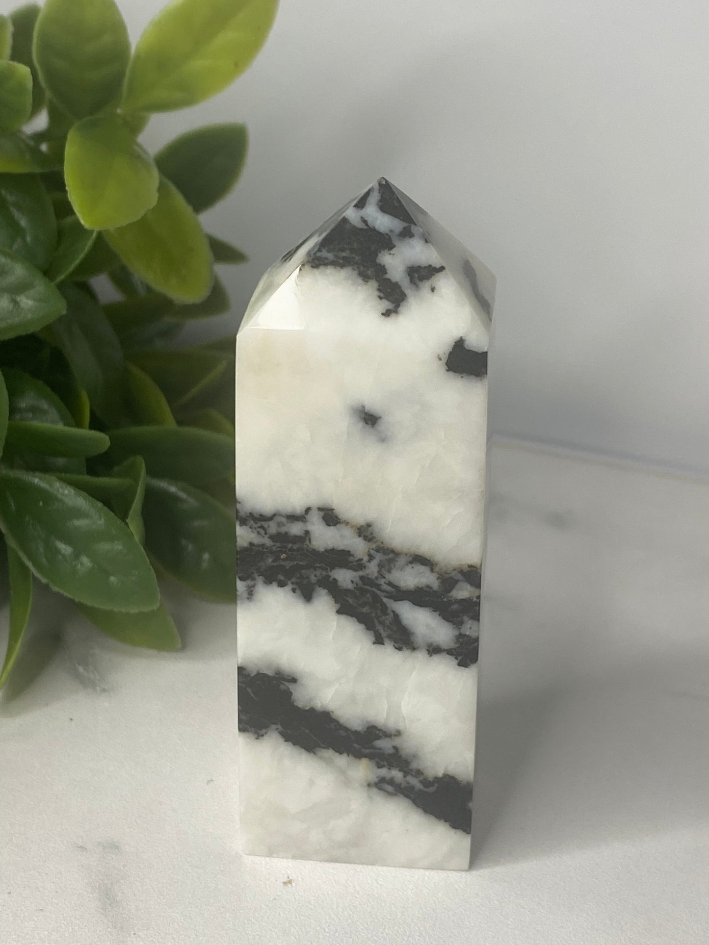 Zebra Jasper Tower