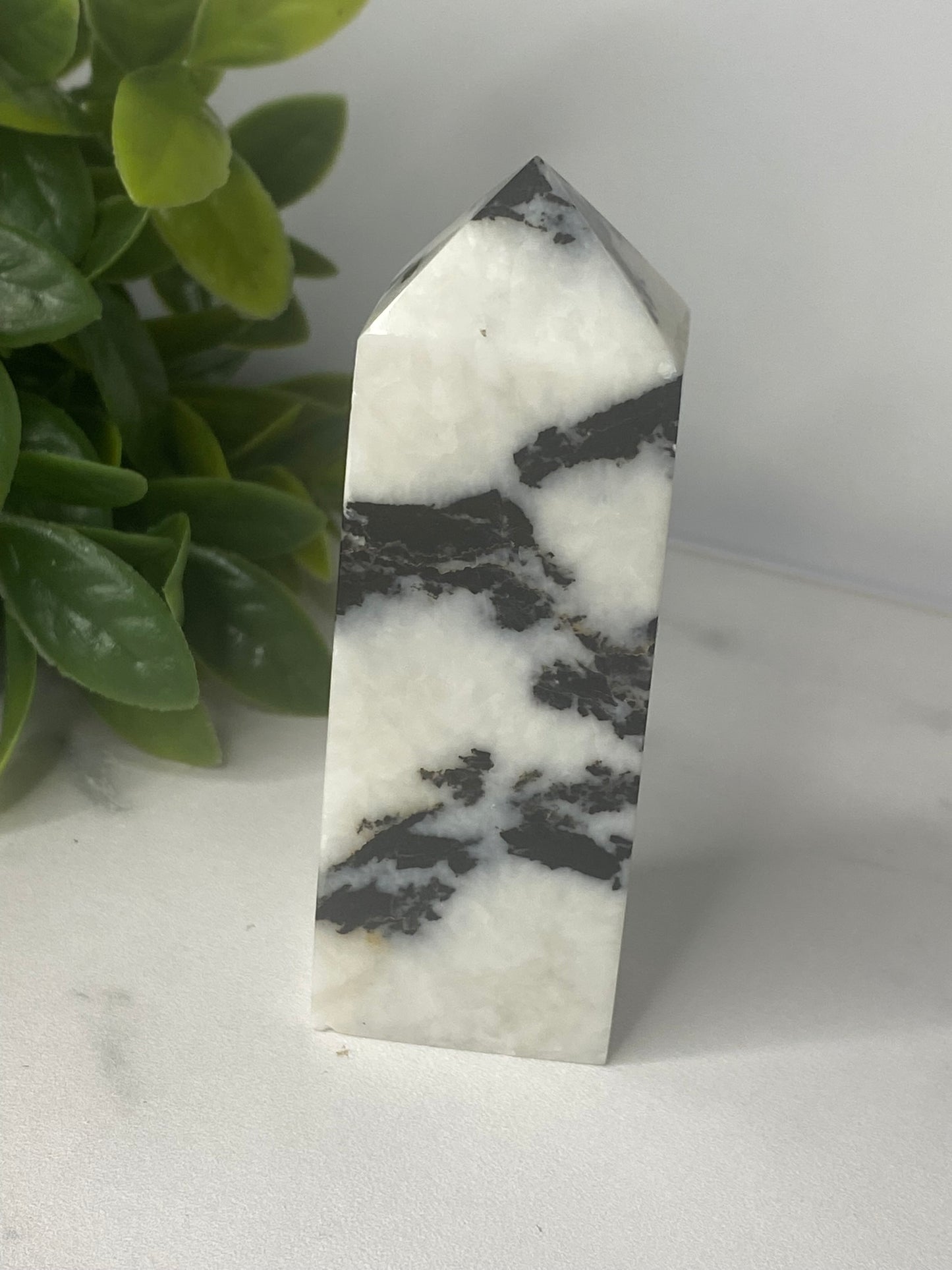 Zebra Jasper Tower