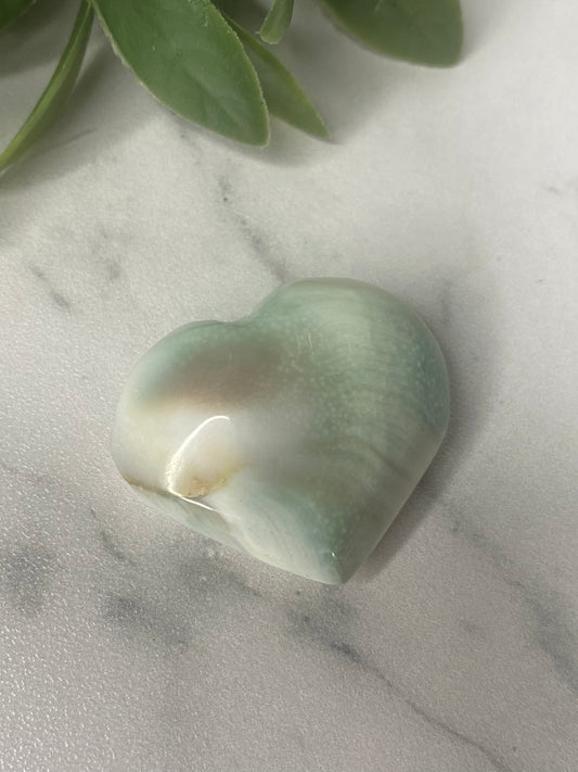 Shiva Shell Heart