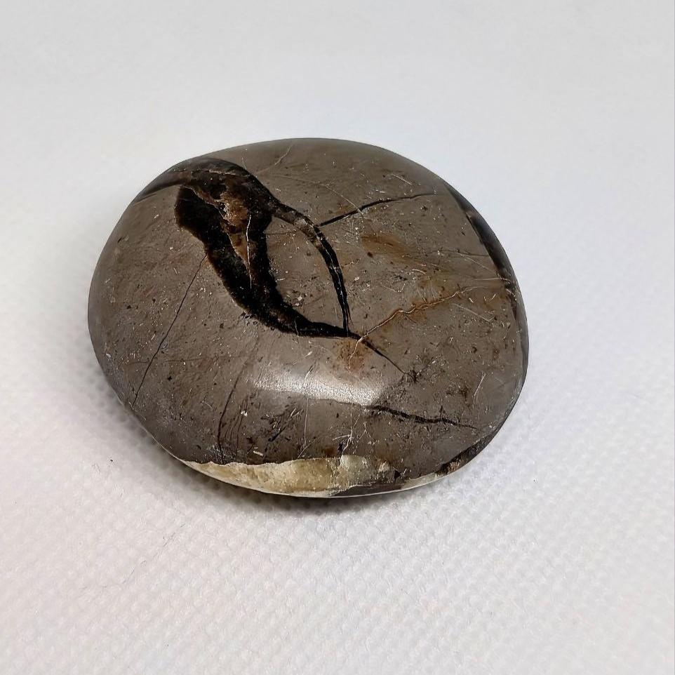 Septarian Palm stones